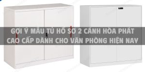 Gợi ý mẫu tủ hồ sơ 2 cánh Hòa Phát cao cấp dành cho văn phòng hiện nay