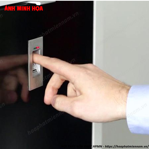Có Nên Chọn Tủ Locker Vân Tay Cho Không Gian Lưu Trữ Công Cộng?