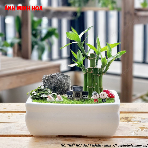Cây Trúc Phú Quý – Bình An và Phát Triển