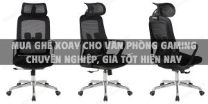 Gợi ý mẫu ghế xoay cho bàn vi tính giá tốt, chất lượng cao của Hòa Phát được yêu thích hiện nay