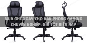 Mua ghế xoay cho văn phòng gaming chuyên nghiệp, giá tốt hiện nay