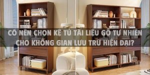 Có nên chọn kệ tủ tài liệu gỗ tự nhiên cho không gian lưu trữ hiện đại?