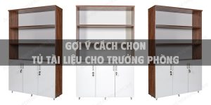 Gợi ý cách chọn tủ tài liệu cho trưởng phòng