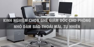 Kinh nghiệm chọn ghế giám đốc cho phòng nhỏ dảm bảo thoải mái, tự nhiên, chuyên nghiệp