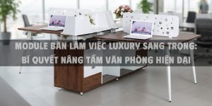 Module Bàn Làm Việc Luxury Sang Trọng: Bí Quyết Nâng Tầm Văn Phòng Hiện Đại Năm 2025