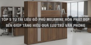 Top 5 Tủ Tài Liệu Gỗ Phủ Melamine Hòa Phát Đẹp Bền Giúp Tăng Hiệu Quả Lưu Trữ Văn Phòng 2025