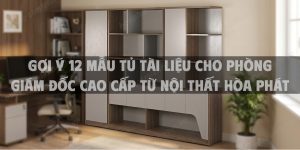 Gợi Ý 12 Mẫu Tủ Tài Liệu Cho Phòng Giám Đốc Cao Cấp Từ Nội Thất Hòa Phát