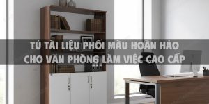 Tủ Tài Liệu Phối Màu Hoàn Hảo Cho Văn Phòng Làm Việc Cao Cấp