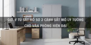 Gợi Ý Tủ Sắt Hồ Sơ 2 Cánh Sắt Mở Lý Tưởng Cho Văn Phòng Hiện Đại