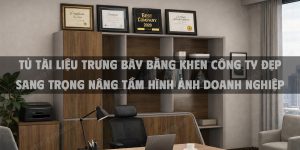 Tủ tài liệu trưng bày bằng khen công ty đẹp sang trọng nâng tầm hình ảnh doanh nghiệp