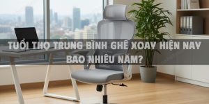 Tuổi Thọ Trung Bình Ghế Xoay Hiện Nay Bao Nhiêu Năm?